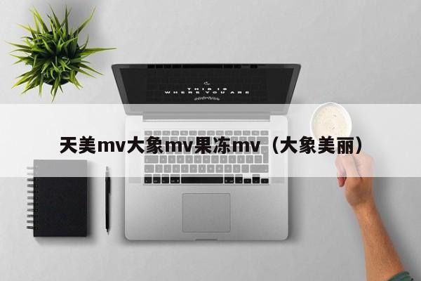 天美mv大象mv果冻mv（大象美丽）