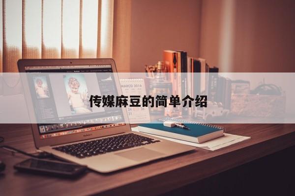 传媒麻豆的简单介绍