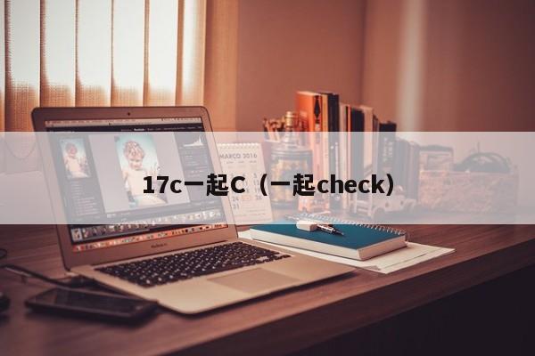 17c一起C（一起check）